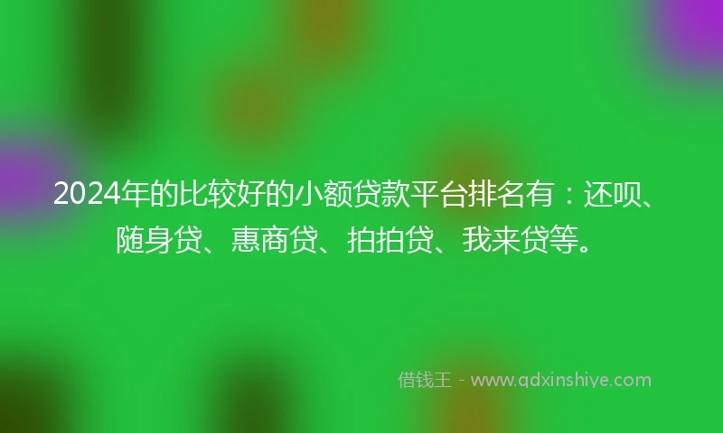 2024年的比较好的小额贷款平台排名有：还呗、随身贷、惠商贷、拍拍贷、我来贷等。
