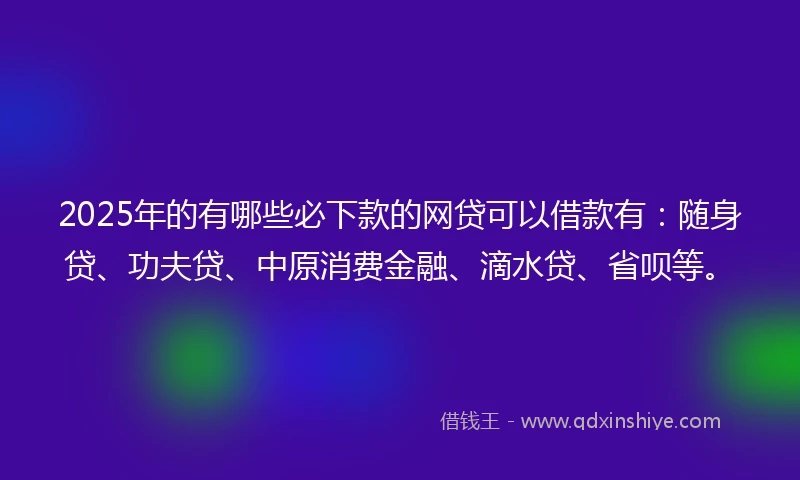 2025年的有哪些必下款的网贷可以借款有：随身贷、功夫贷、中原消费金融、滴水贷、省呗等。