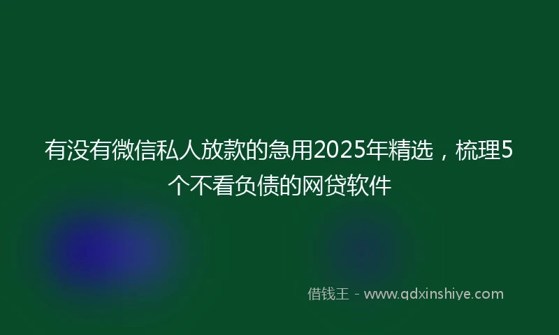 有没有微信私人放款的急用2025年精选，梳理5个不看负债的网贷软件