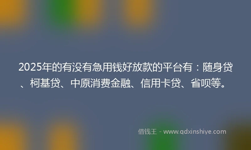 2025年的有没有急用钱好放款的平台有：随身贷、柯基贷、中原消费金融、信用卡贷、省呗等。