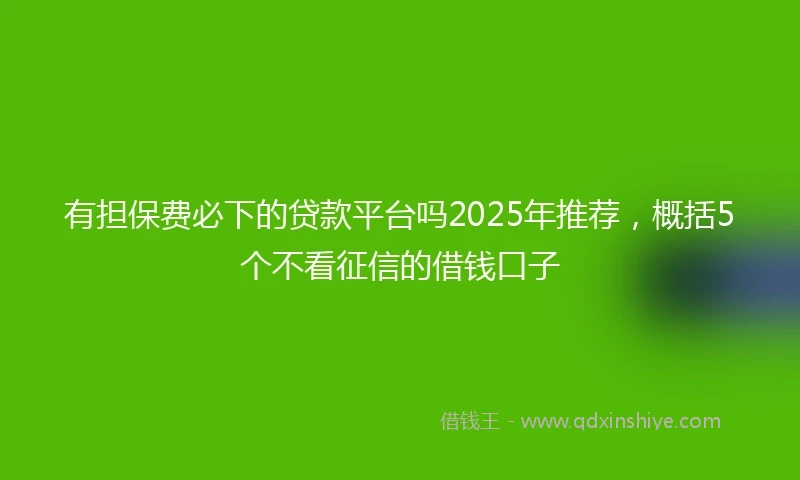 有担保费必下的贷款平台吗2025年推荐，概括5个不看征信的借钱口子