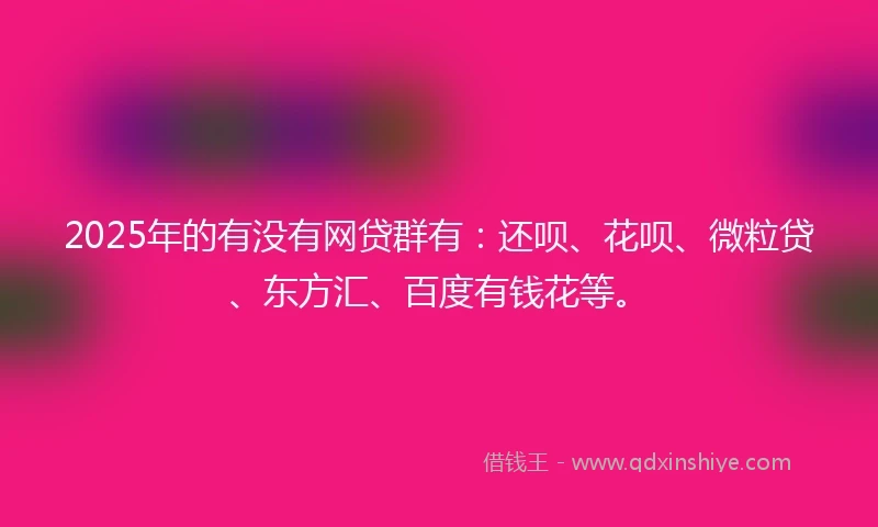 2025年的有没有网贷群有：还呗、花呗、微粒贷、东方汇、百度有钱花等。