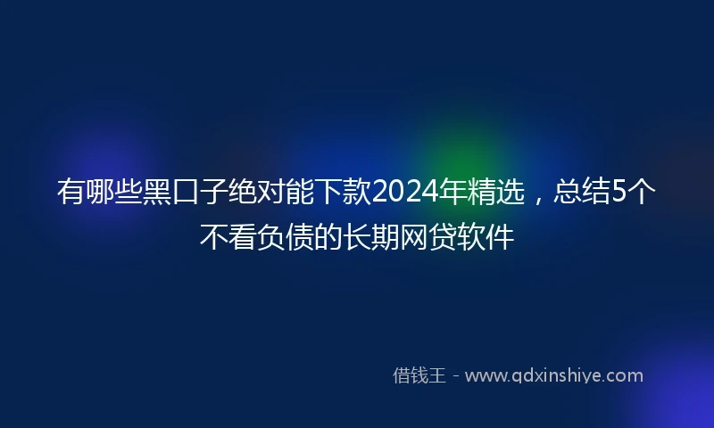 有哪些黑口子绝对能下款2024年精选，总结5个不看负债的长期网贷软件
