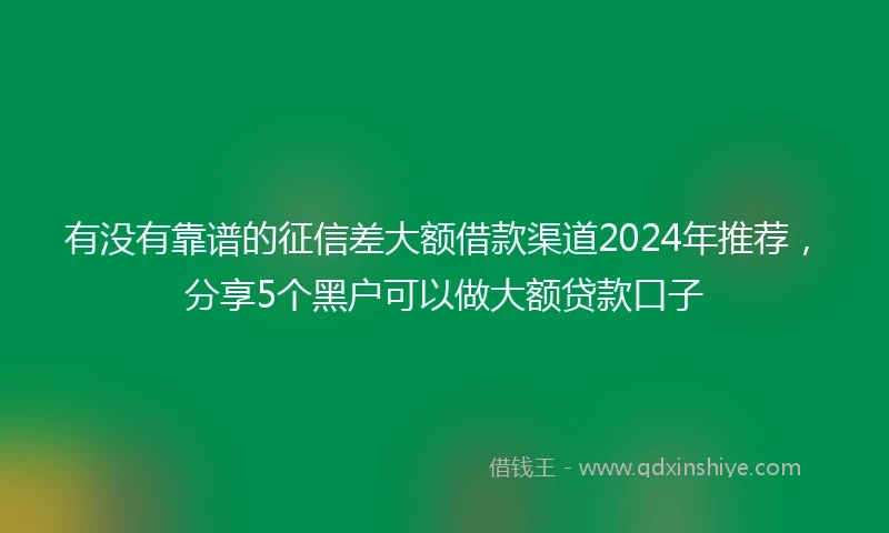 有没有靠谱的征信差大额借款渠道2024年推荐，分享5个黑户可以做大额贷款口子