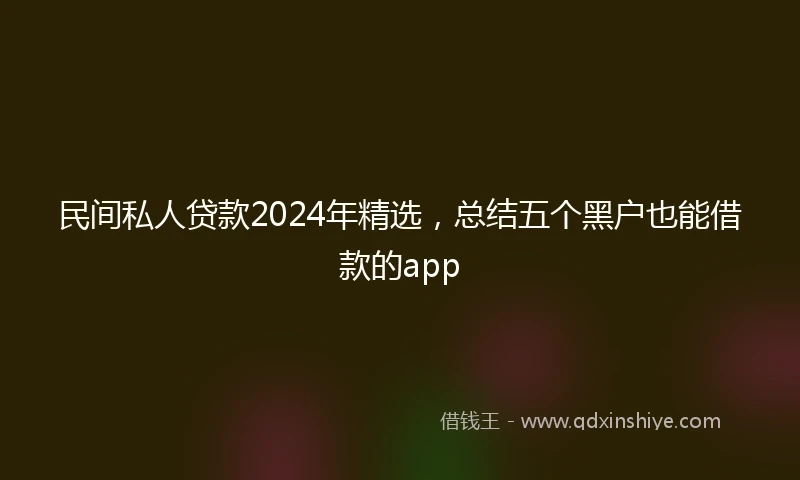 民间私人贷款2024年精选，总结五个黑户也能借款的app
