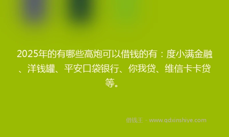 2025年的有哪些高炮可以借钱的有：度小满金融、洋钱罐、平安口袋银行、你我贷、维信卡卡贷等。