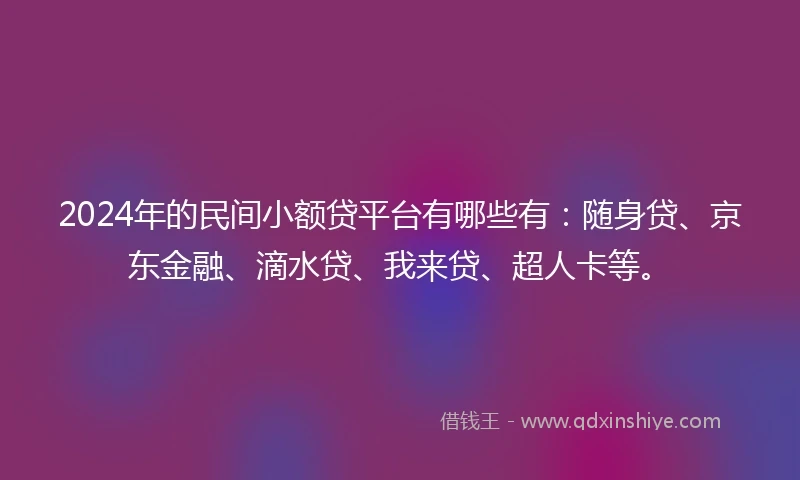 2024年的民间小额贷平台有哪些有：随身贷、京东金融、滴水贷、我来贷、超人卡等。