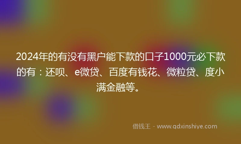 2024年的有没有黑户能下款的口子1000元必下款的有：还呗、e微贷、百度有钱花、微粒贷、度小满金融等。