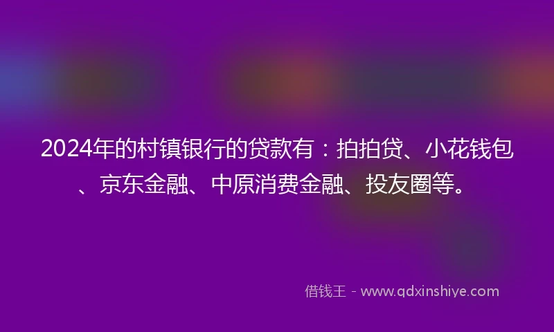 2024年的村镇银行的贷款有：拍拍贷、小花钱包、京东金融、中原消费金融、投友圈等。