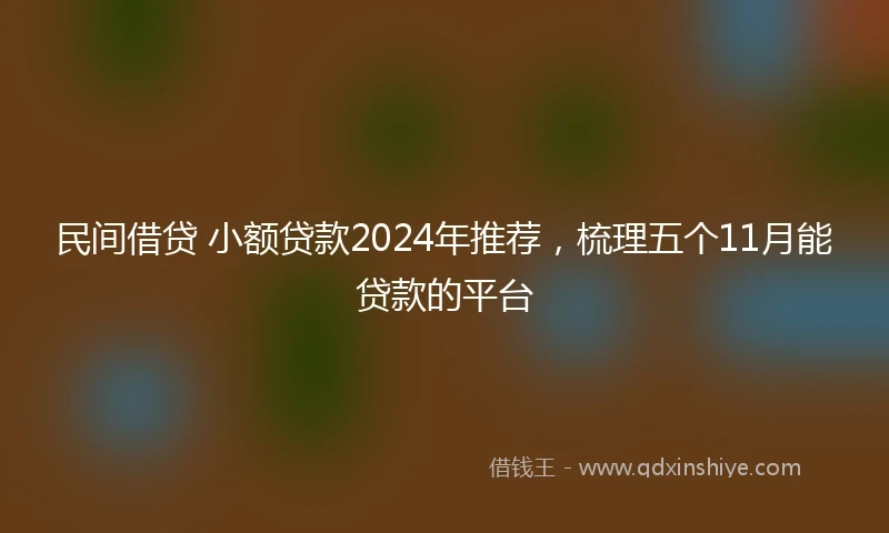 民间借贷 小额贷款2024年推荐，梳理五个11月能贷款的平台