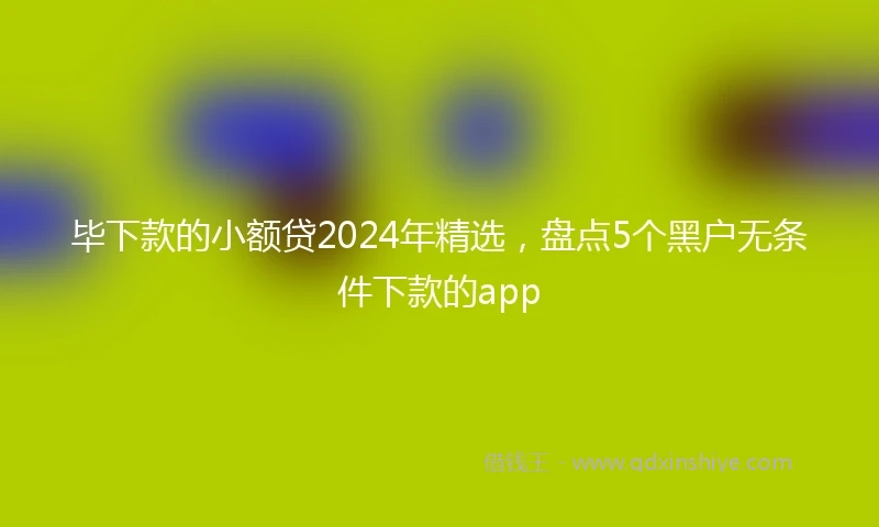 毕下款的小额贷2024年精选，盘点5个黑户无条件下款的app