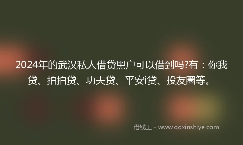 2024年的武汉私人借贷黑户可以借到吗?有：你我贷、拍拍贷、功夫贷、平安i贷、投友圈等。
