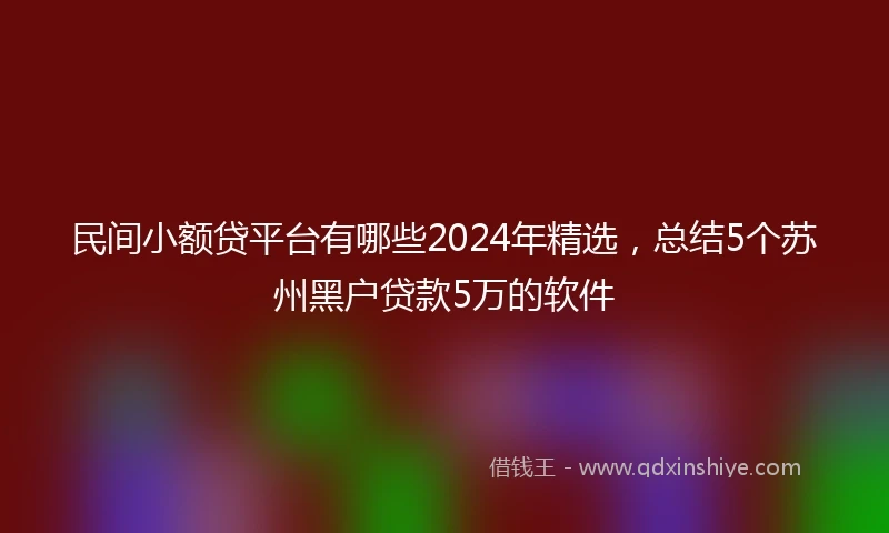 民间小额贷平台有哪些2024年精选，总结5个苏州黑户贷款5万的软件