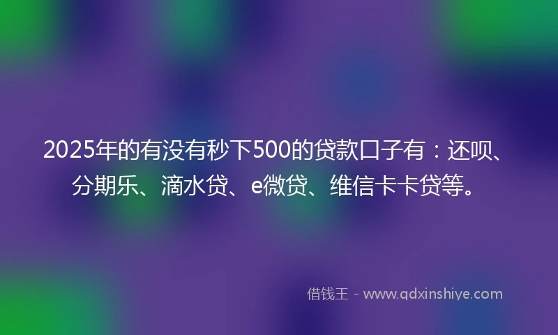2025年的有没有秒下500的贷款口子有：还呗、分期乐、滴水贷、e微贷、维信卡卡贷等。