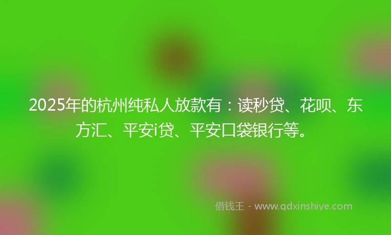 2025年的杭州纯私人放款有:读秒贷、花呗、东方汇、平安i贷、平安口袋银行等。