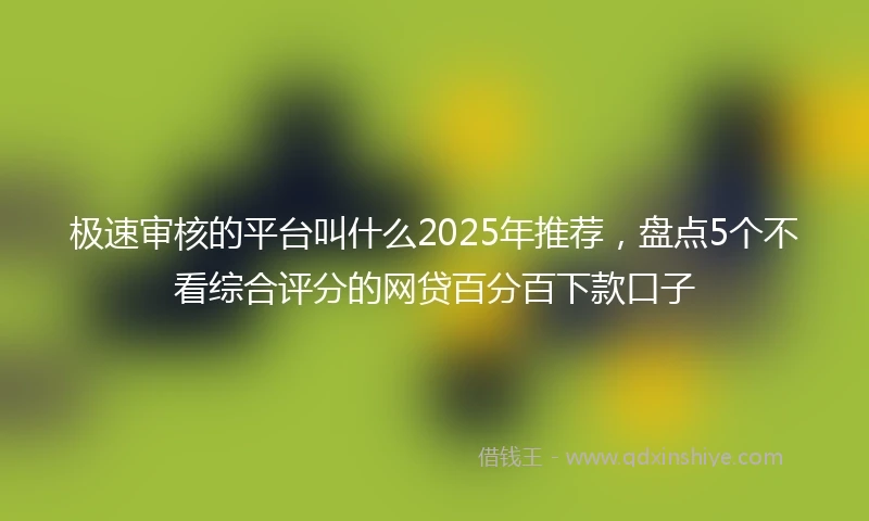 极速审核的平台叫什么2025年推荐，盘点5个不看综合评分的网贷百分百下款口子
