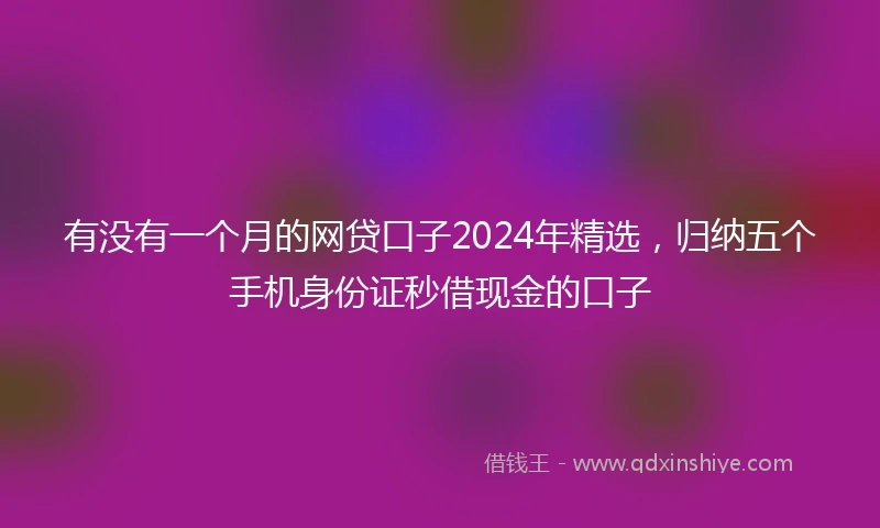 有没有一个月的网贷口子2024年精选，归纳五个手机身份证秒借现金的口子