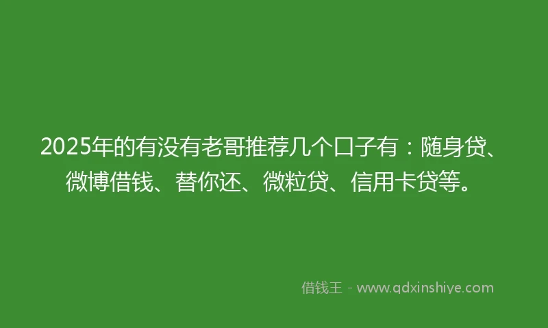 2025年的有没有老哥推荐几个口子有：随身贷、微博借钱、替你还、微粒贷、信用卡贷等。