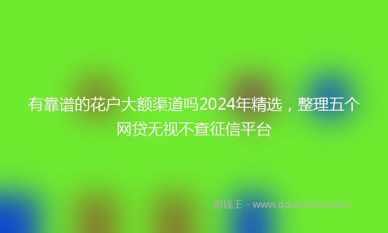 有靠谱的花户大额渠道吗2024年精选，整理五个网贷无视不查征信平台