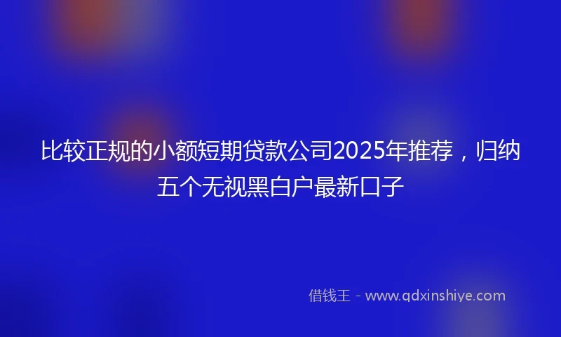 比较正规的小额短期贷款公司2025年推荐，归纳五个无视黑白户最新口子