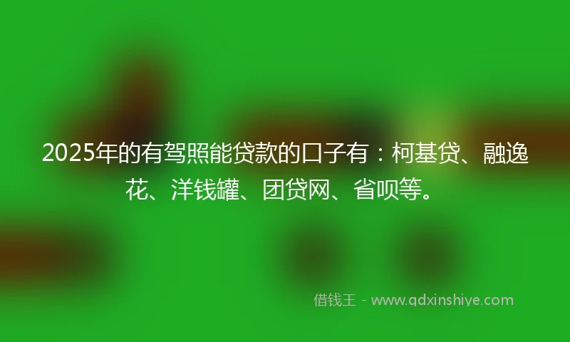 2025年的有驾照能贷款的口子有：柯基贷、融逸花、洋钱罐、团贷网、省呗等。