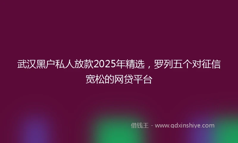武汉黑户私人放款2025年精选，罗列五个对征信宽松的网贷平台