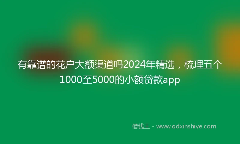 有靠谱的花户大额渠道吗2024年精选，梳理五个1000至5000的小额贷款app