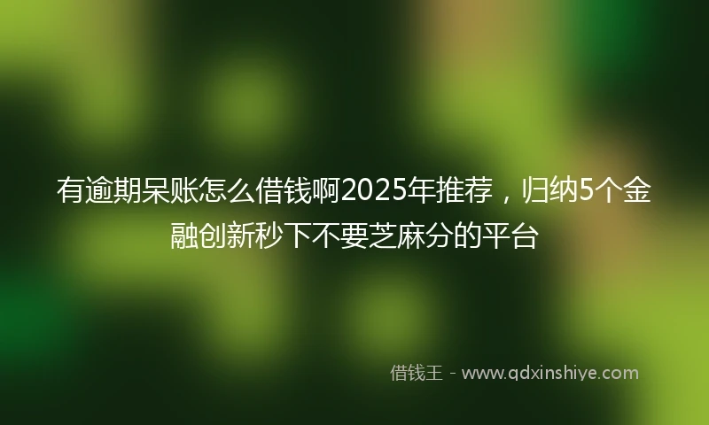 有逾期呆账怎么借钱啊2025年推荐，归纳5个金融创新秒下不要芝麻分的平台