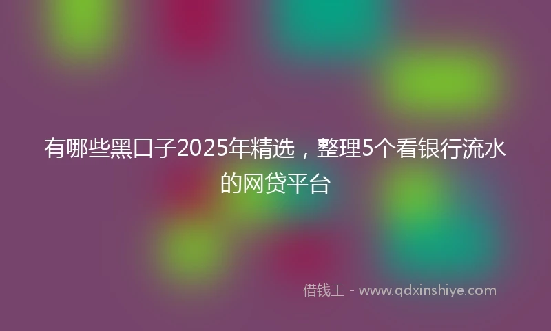 有哪些黑口子2025年精选，整理5个看银行流水的网贷平台
