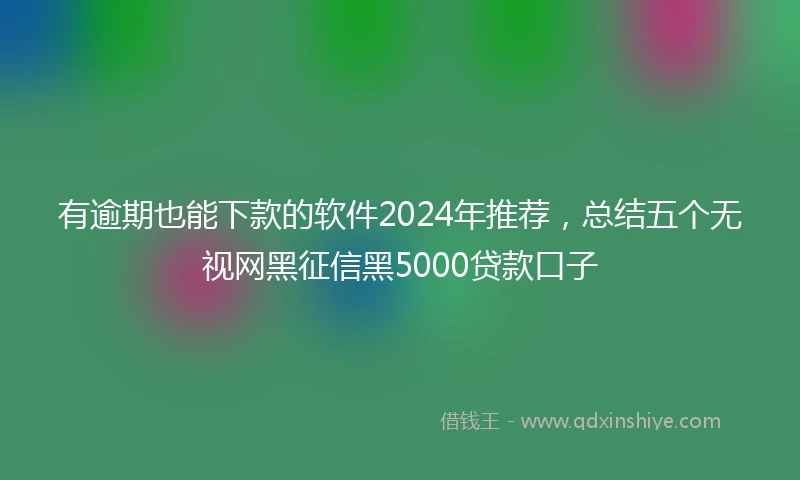 有逾期也能下款的软件2024年推荐，总结五个无视网黑征信黑5000贷款口子