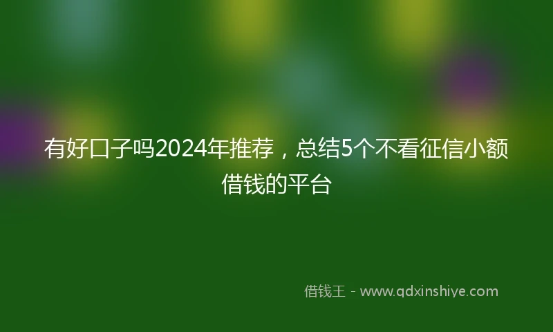 有好口子吗2024年推荐，总结5个不看征信小额借钱的平台