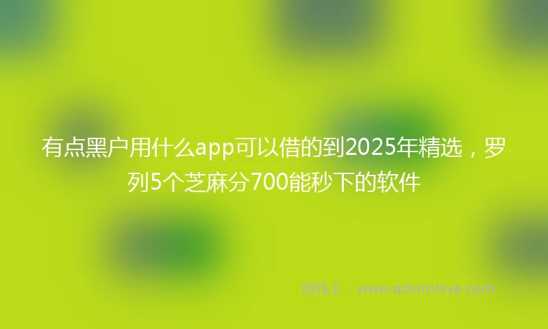 有点黑户用什么app可以借的到2025年精选，罗列5个芝麻分700能秒下的软件