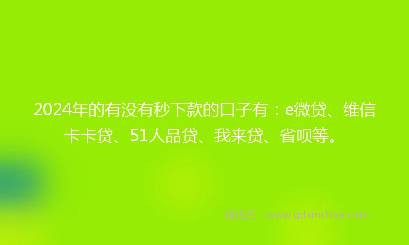 2024年的有没有秒下款的口子有：e微贷、维信卡卡贷、51人品贷、我来贷、省呗等。