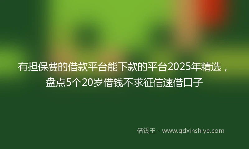 有担保费的借款平台能下款的平台2025年精选，盘点5个20岁借钱不求征信速借口子