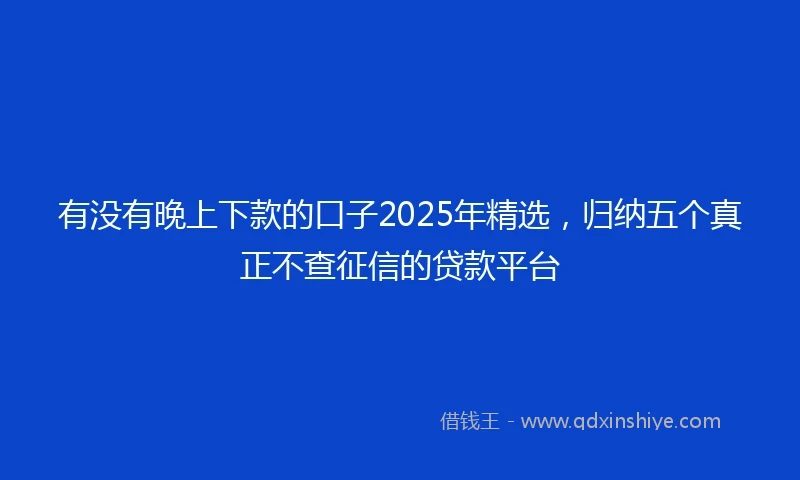 有没有晚上下款的口子2025年精选，归纳五个真正不查征信的贷款平台