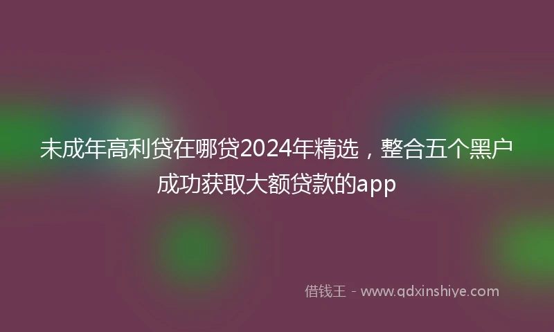 未成年高利贷在哪贷2024年精选，整合五个黑户成功获取大额贷款的app