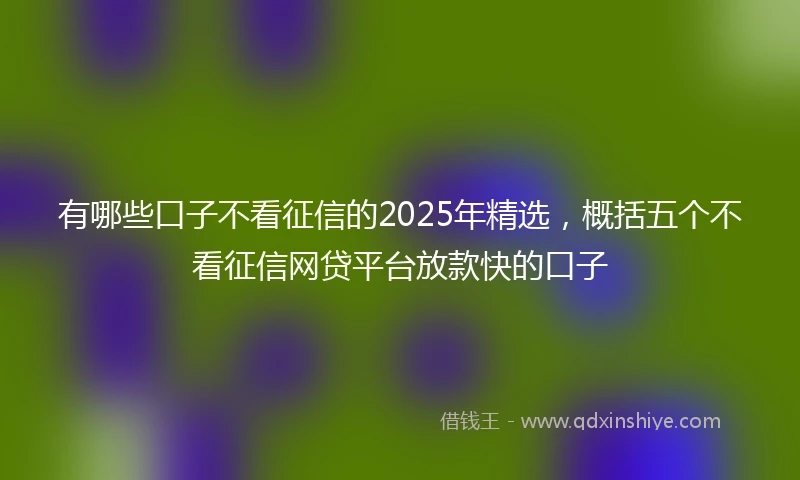 有哪些口子不看征信的2025年精选，概括五个不看征信网贷平台放款快的口子