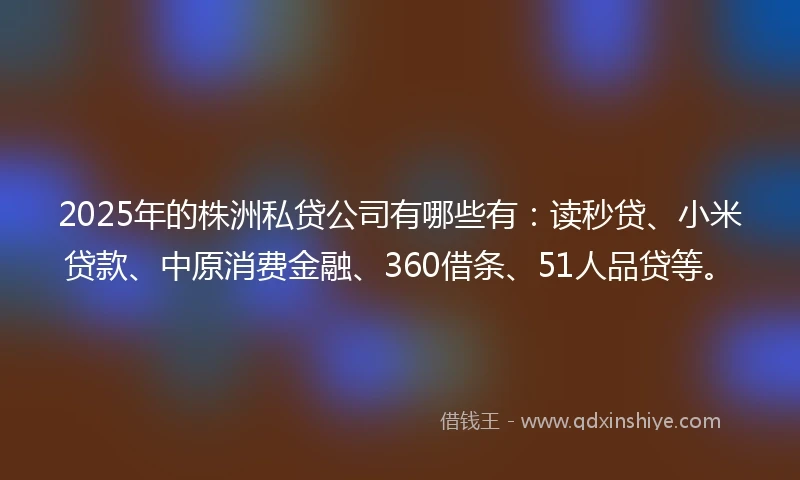 2025年的株洲私贷公司有哪些有：读秒贷、小米贷款、中原消费金融、360借条、51人品贷等。