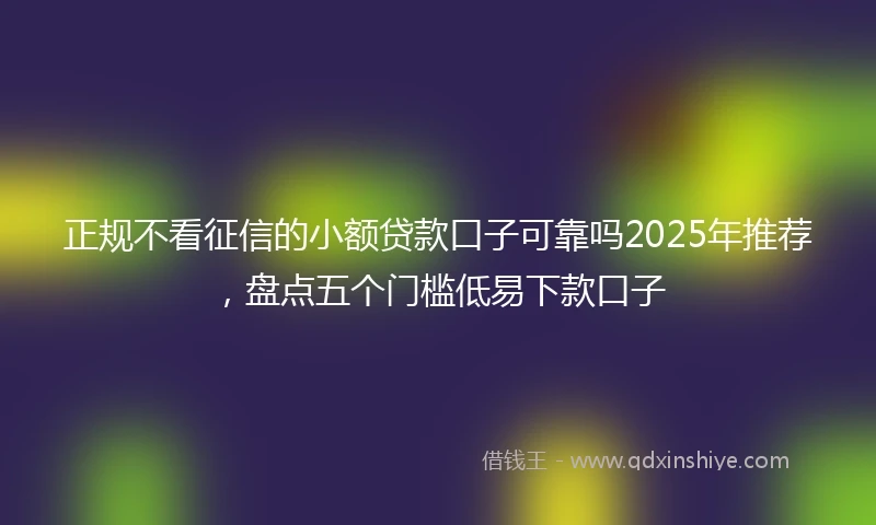 正规不看征信的小额贷款口子可靠吗2025年推荐，盘点五个门槛低易下款口子