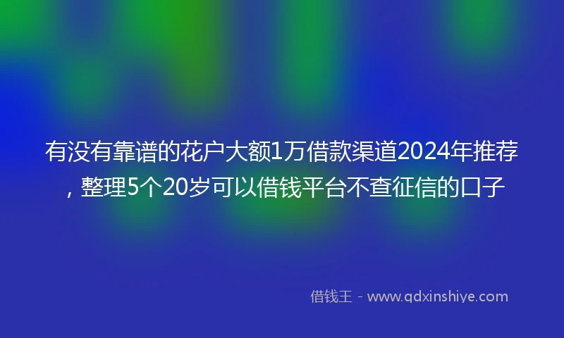 有没有靠谱的花户大额1万借款渠道2024年推荐，整理5个20岁可以借钱平台不查征信的口子
