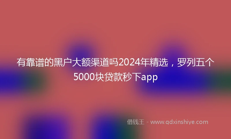 有靠谱的黑户大额渠道吗2024年精选，罗列五个5000块贷款秒下app