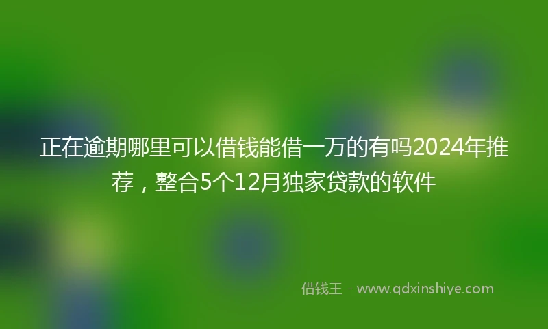 正在逾期哪里可以借钱能借一万的有吗2024年推荐，整合5个12月独家贷款的软件