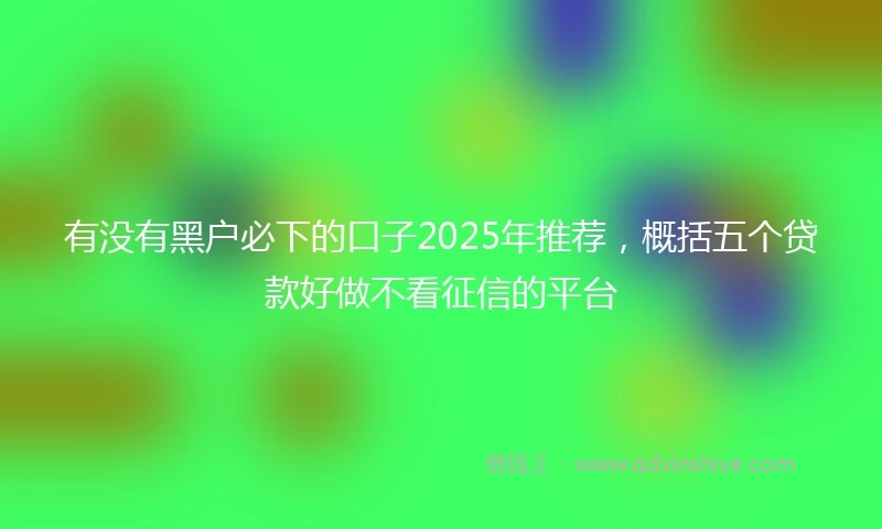 有没有黑户必下的口子2025年推荐，概括五个贷款好做不看征信的平台