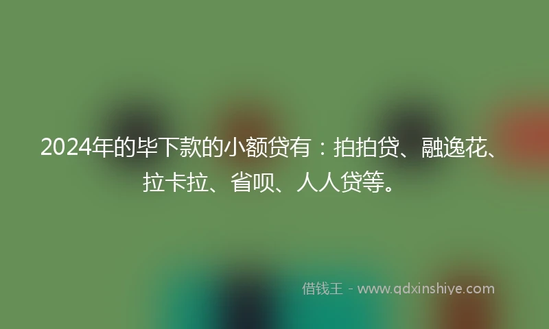 2024年的毕下款的小额贷有：拍拍贷、融逸花、拉卡拉、省呗、人人贷等。