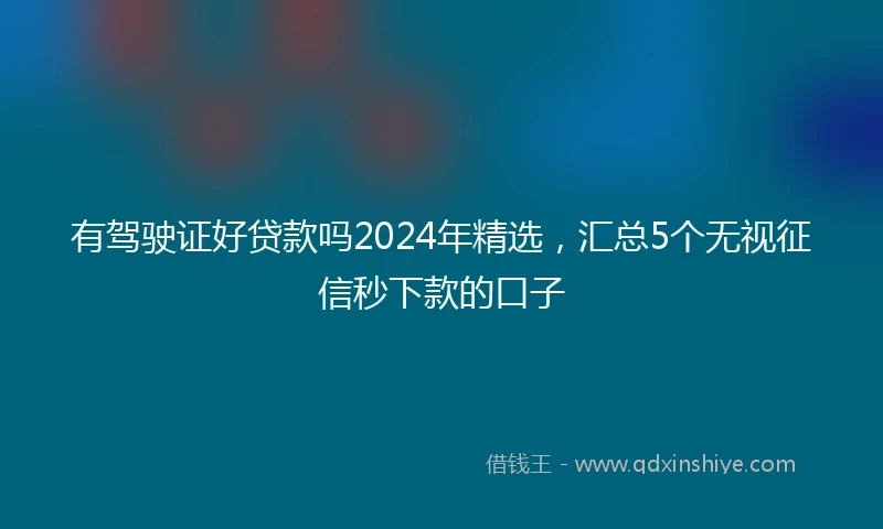 有驾驶证好贷款吗2024年精选，汇总5个无视征信秒下款的口子