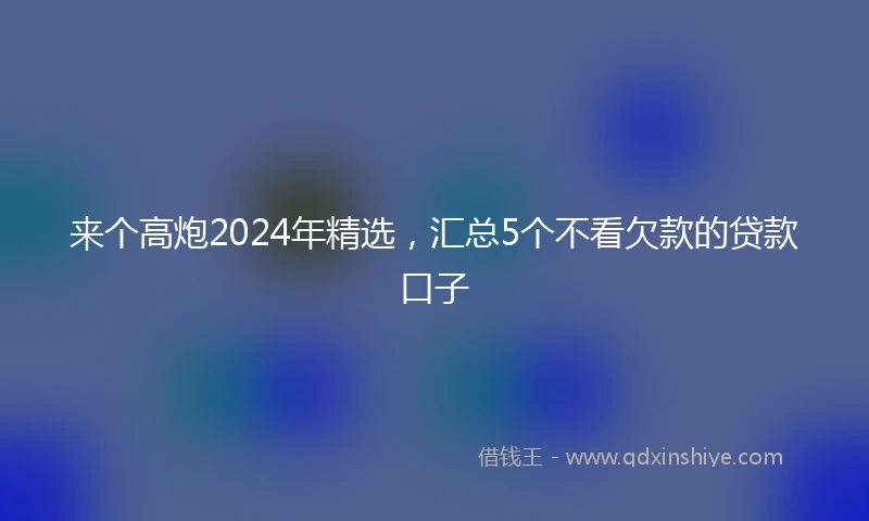 来个高炮2024年精选，汇总5个不看欠款的贷款口子