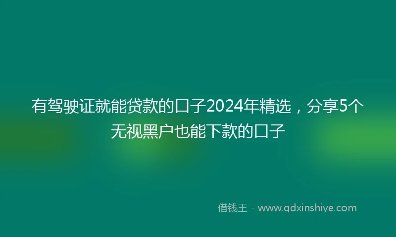 有驾驶证就能贷款的口子2024年精选，分享5个无视黑户也能下款的口子