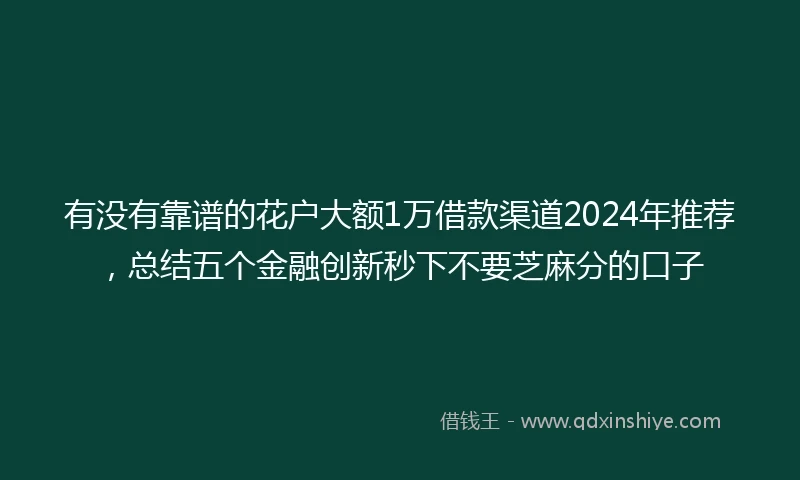 有没有靠谱的花户大额1万借款渠道2024年推荐，总结五个金融创新秒下不要芝麻分的口子