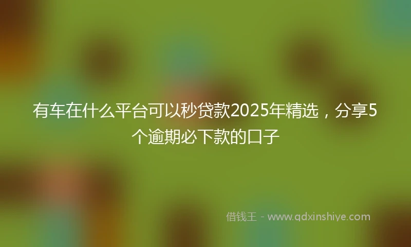 有车在什么平台可以秒贷款2025年精选，分享5个逾期必下款的口子