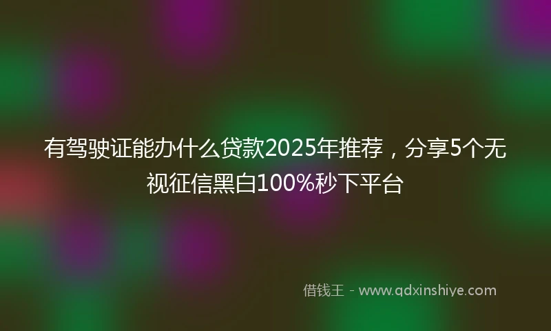 有驾驶证能办什么贷款2025年推荐,分享5个无视征信黑白100%秒下平台